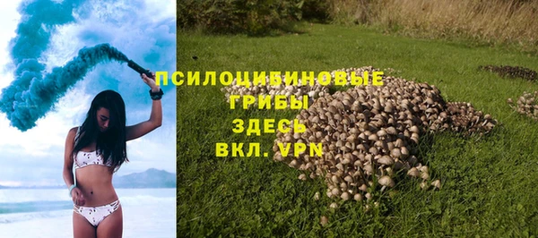 ПСИЛОЦИБИНОВЫЕ ГРИБЫ Медвежьегорск