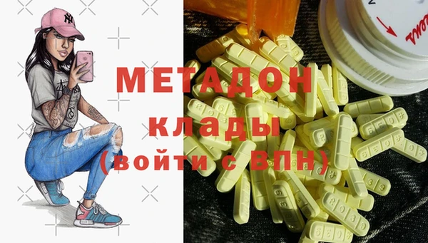 индика Михайловск