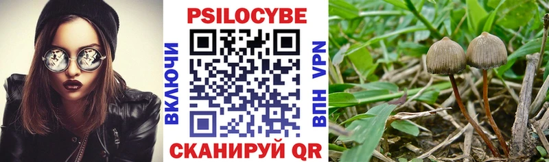 Галлюциногенные грибы ЛСД  mega онион  Моршанск 